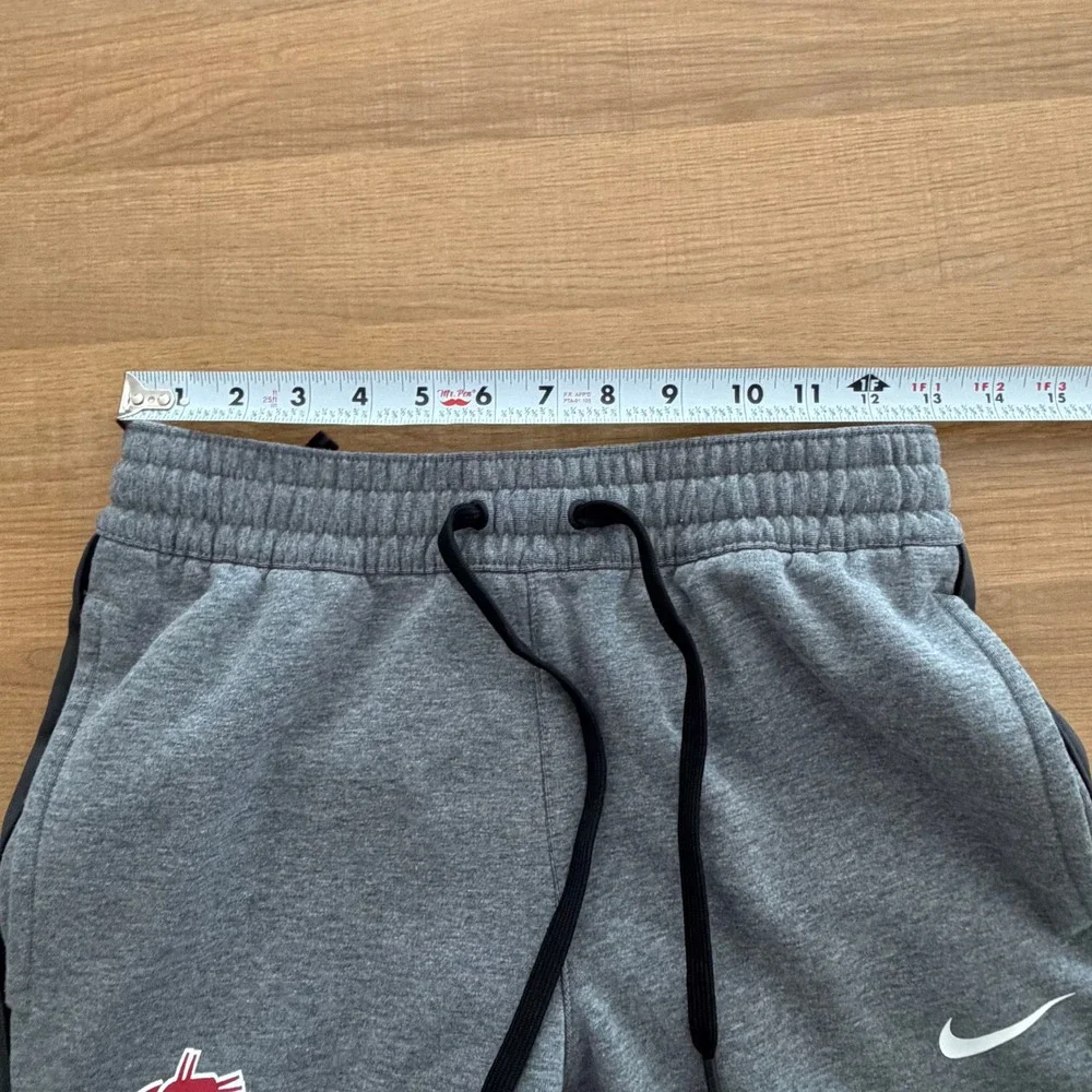 Nike Therma-FIT Washington State WSU Cougars Joggers Mens Small Gray Sweatpants